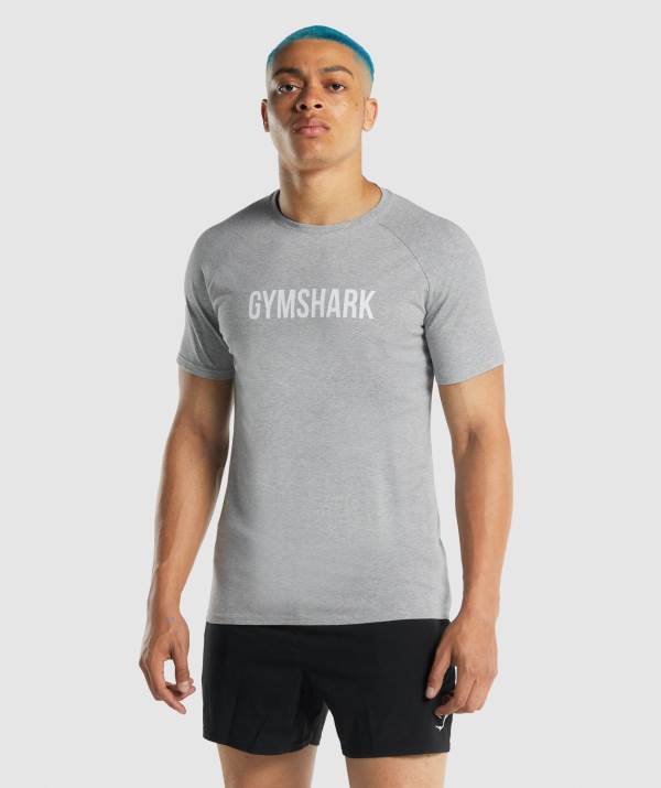 Panske Tricka Gymshark Apollo Svetlo Siva | AJ5047129